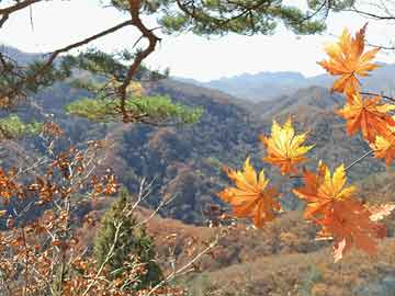 环境设计考研，环境设计考公务员有哪些岗位